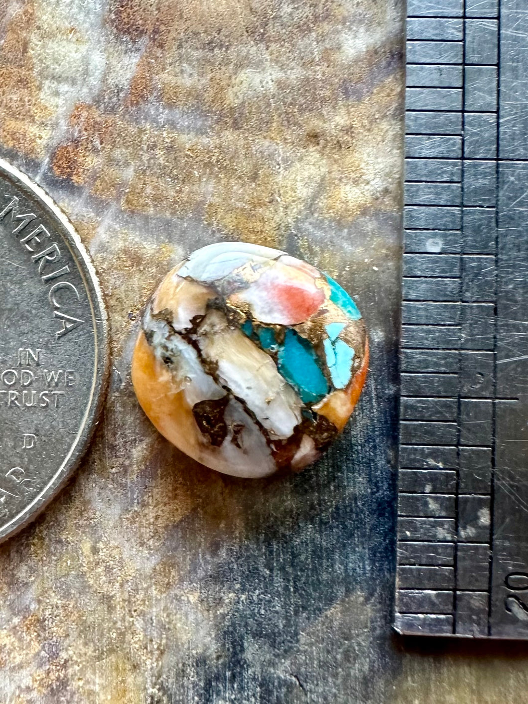 Spiny Oyster, Turquoise and Bronze Matrix Composite Cabochon