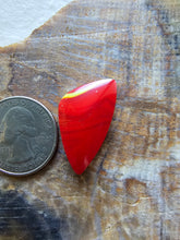 Load image into Gallery viewer, Rosarita Shield Shape Cabochon
