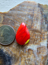 Load image into Gallery viewer, Rosarita Teardrop Cabochon
