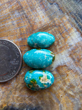 Load image into Gallery viewer, Sonora Gold Turquoise Cabochon Lot
