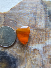 Load image into Gallery viewer, Rosarita Freeform Shape Cabochon
