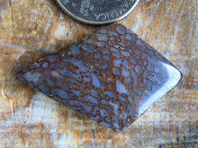 Load image into Gallery viewer, Dino Bone Cabochon

