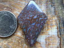 Load image into Gallery viewer, Dino Bone Cabochon
