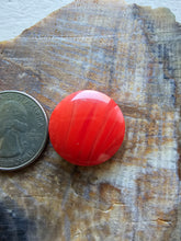 Load image into Gallery viewer, Rosarita Round Circle Cabochon
