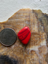 Load image into Gallery viewer, Rosarita Free-form Cabochon
