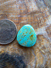 Load image into Gallery viewer, Turquoise Mountain Freeform Cabochon

