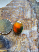 Load image into Gallery viewer, Aurora Opal Oval Cabochon
