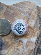 Load image into Gallery viewer, Fordite aka Detroit Agate Cabochon
