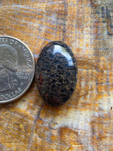 Load image into Gallery viewer, Dino Bone Cabochon
