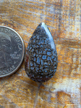 Load image into Gallery viewer, Dino Bone Cabochon
