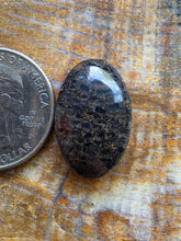 Load image into Gallery viewer, Dino Bone Cabochon
