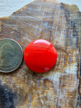 Load image into Gallery viewer, Rosarita Round Circle Cabochon
