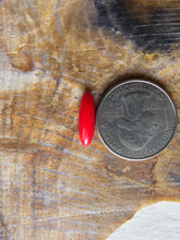 Load image into Gallery viewer, Rosarita Oval Cabochon

