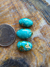 Load image into Gallery viewer, Sonora Gold Turquoise Cabochon Lot
