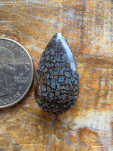 Load image into Gallery viewer, Dino Bone Cabochon
