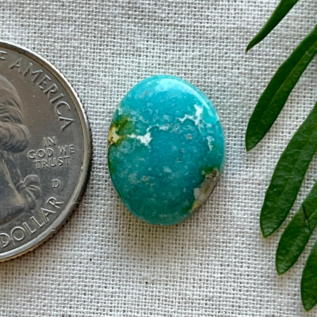 Sonoran Mountain Turquoise Oval Cabochon