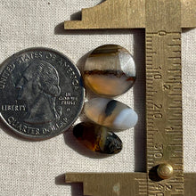 Load image into Gallery viewer, Montana Agate Rosecut Cabochon Lot
