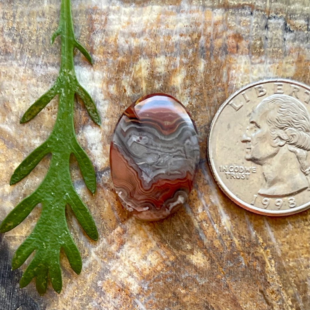 Laguna Lace Agate Cabochon