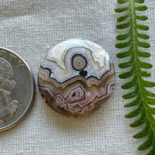 Load image into Gallery viewer, Laguna Lace Agate Circle Cabochon
