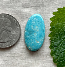 Load image into Gallery viewer, Hubei Turquoise Freeform Oval Cabochon
