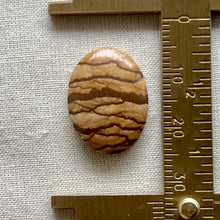Load image into Gallery viewer, CBiggs Jasper Oval Cabochon
