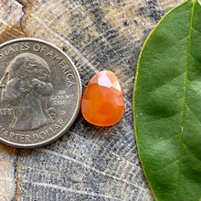 Load image into Gallery viewer, Carnelian Rosecut Oval Cabochon

