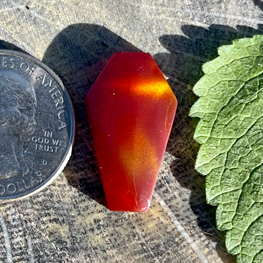 Aurora Opal Coffin Cabochon