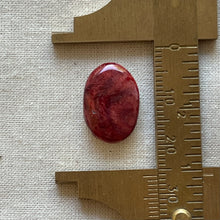 Load image into Gallery viewer, Spiny Oyster Oval Cabochon
