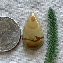 Load image into Gallery viewer, Owyhee Jasper Teardrop Cabochon Cabochon
