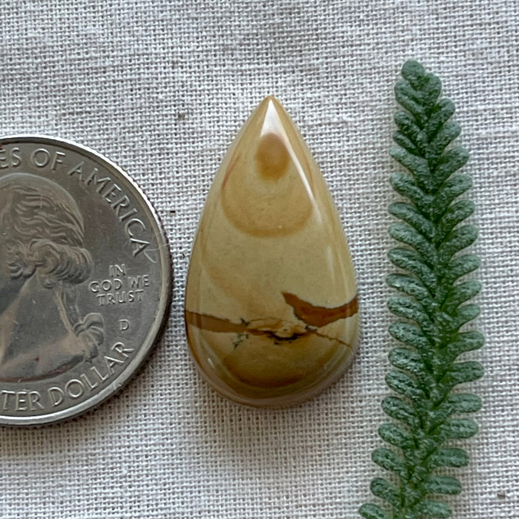 Owyhee Jasper Teardrop Cabochon Cabochon