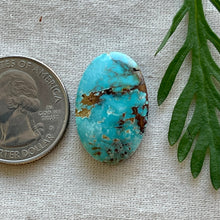 Load image into Gallery viewer, Royston Turquoise Oval Cabochon
