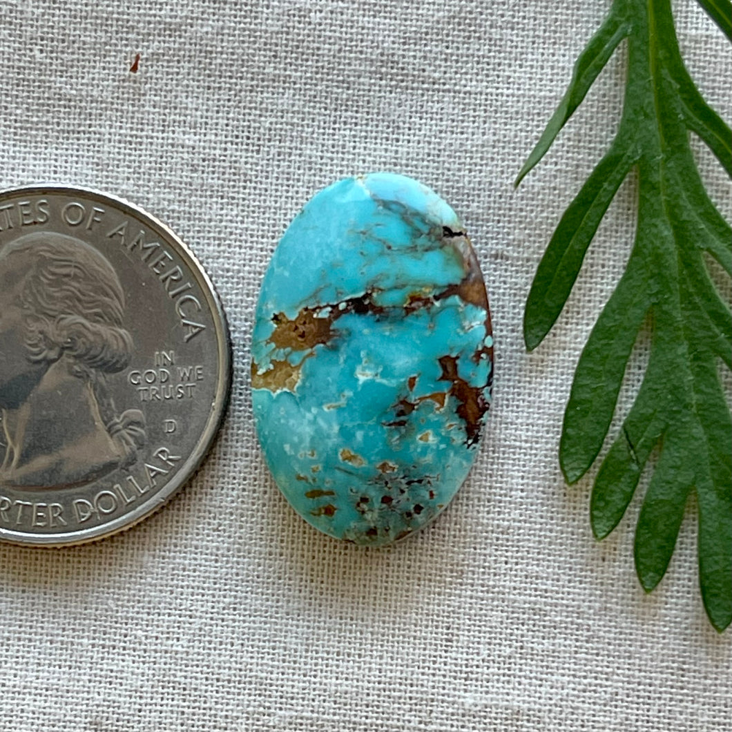 Royston Turquoise Oval Cabochon