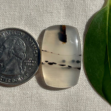 Load image into Gallery viewer, Montana Agate Cabochon
