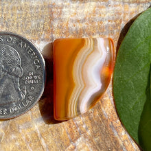 Load image into Gallery viewer, Banded Agate Freeform Cabochon
