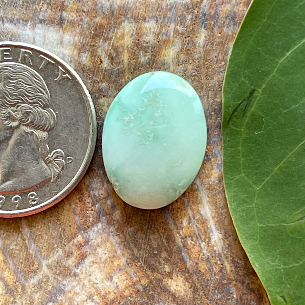 Angel Wing Variscite Oval Cabochon