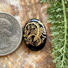 Load image into Gallery viewer, Astrology Cabochon Black Glass Oval Scorpio Astrology Cab
