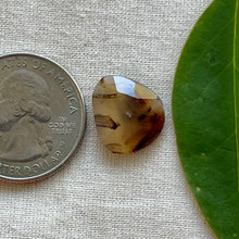 Load image into Gallery viewer, Montana Agate Rosecut Cabochon
