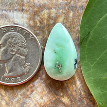 Load image into Gallery viewer, Angel Wing Variscite Teardrop Cabochon
