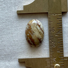 Load image into Gallery viewer, Owyhee Jasper Oval Cabochon Cabochon
