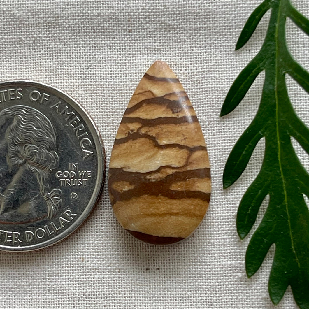 Biggs Jasper Marquis Teardrop Cabochon