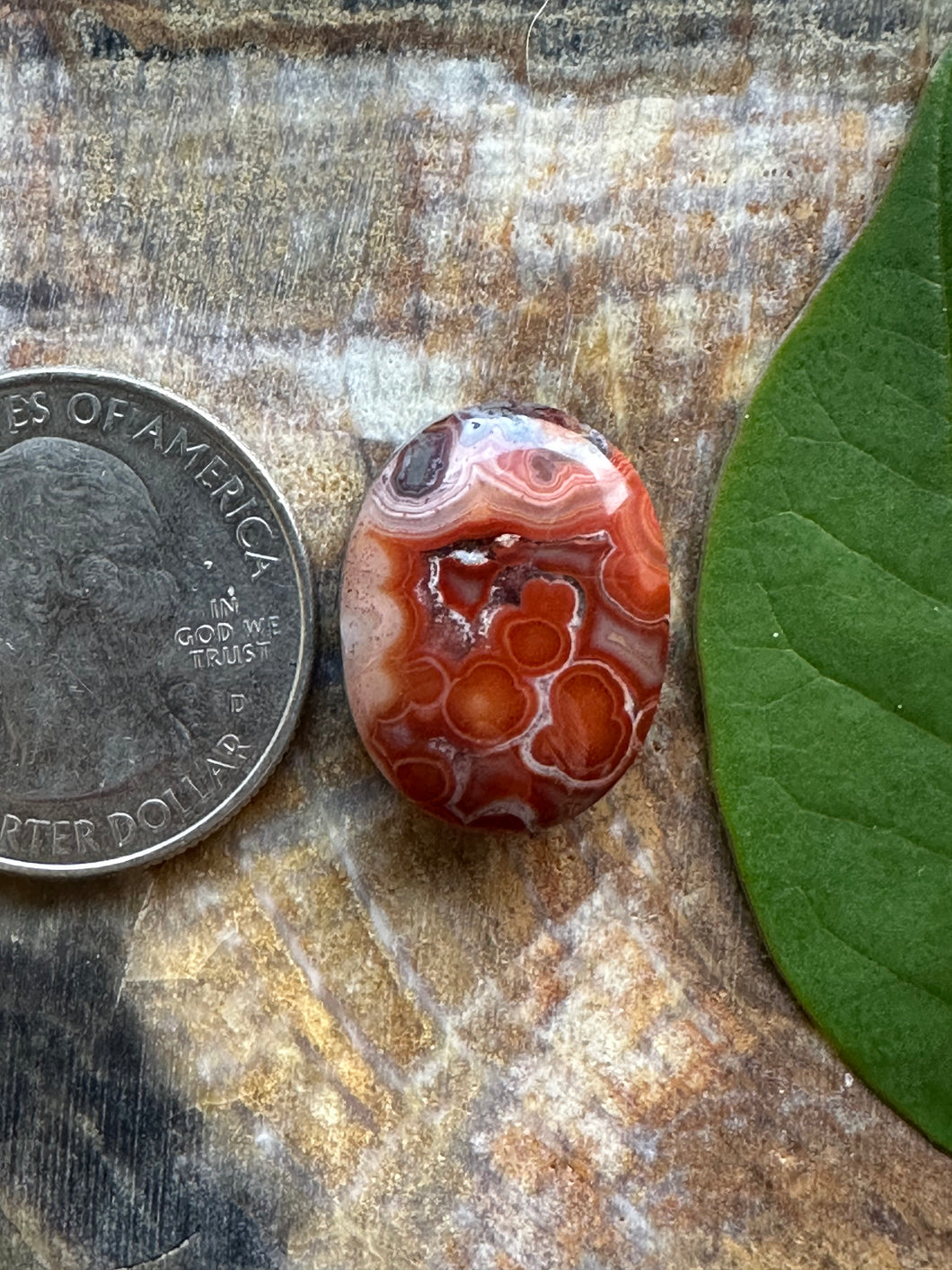 Laguna Lace Agate Cabochon