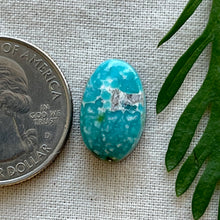 Load image into Gallery viewer, Sonoran Mountain Turquoise Oval Cabochon
