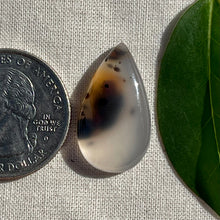 Load image into Gallery viewer, Montana Agate Cabochon
