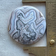 Load image into Gallery viewer, Laguna Lace Agate Large Circle Cabochon
