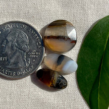 Load image into Gallery viewer, Montana Agate Rosecut Cabochon Lot
