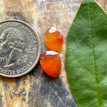 Load image into Gallery viewer, Carnelian Rosecut Cabochon
