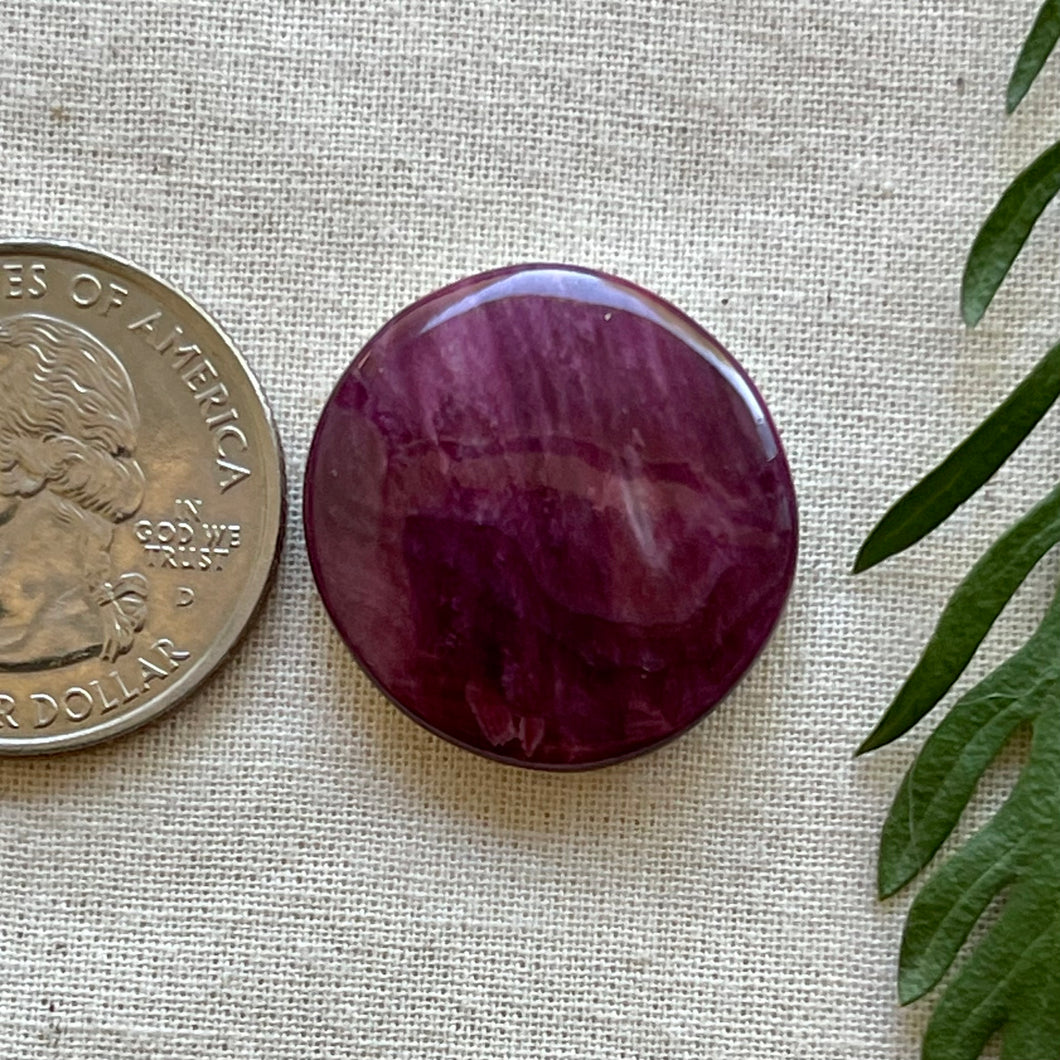 Spiny Oyster Circle Cabochon
