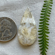 Load image into Gallery viewer, Graveyard Plume Agate Teardrop Cabochon

