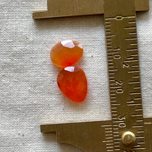 Load image into Gallery viewer, Carnelian Rosecut Cabochon
