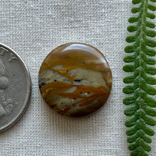 Load image into Gallery viewer, Owyhee Jasper Circle Cabochon Cabochon
